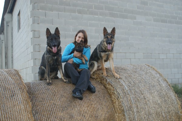 La Roser Feliu amb tres de les seves gosses: la Mina, la Fura i la Burka.