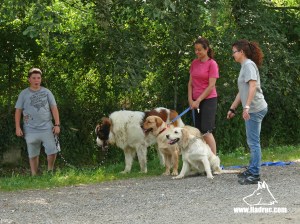 Foto alumnes curs Riudellots