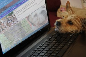 Foto Joan Closa concurs Lladruc Foto Joan Closa concurs Lladruc