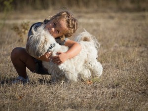 Foto Jordi Prat concurs Lladruc Foto Jordi Prat concurs Lladruc
