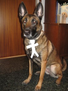 Innocentada by Lladruc