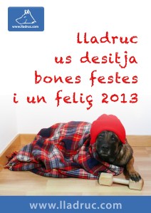 Felicitació Lladruc 2013