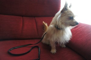 En Tuby està molt elegant!