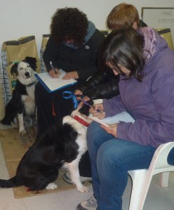Alumnes del curs examinant-nos!  A cada edició fem valorar als alumnes aspectes com contingut del curs, qualitat dels ponents, distribució de les classes, instal·lacions. Vam rebre bones notes així que tant malament no ho devíem fer! 