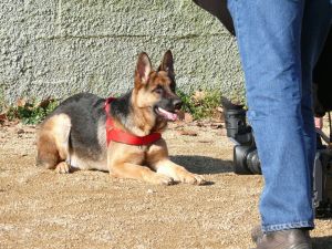 Entrevista a TVE Popi