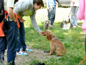 En Mac aprenent a estar quiet! 