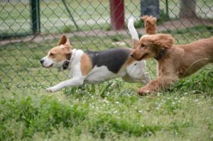 La Tara i en Mac gaudint de la vida :) 