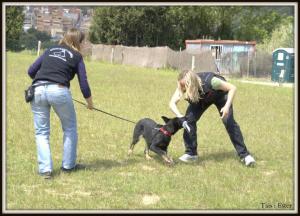 La Mia Skogster entrenant amb la Muga i una servidora, Roser Feliu