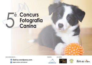 5è concurs fotografia by lladruc