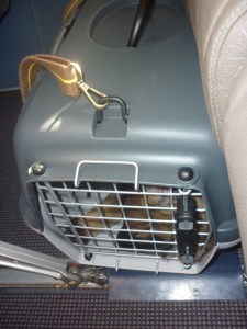 La Mina durant el seu primer vol