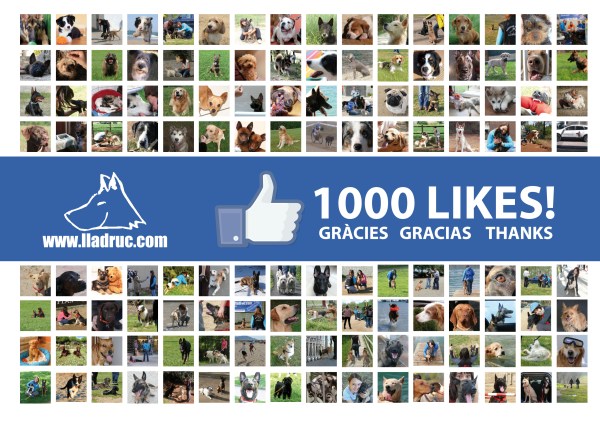 1000 seguidors al Facebook de Lladruc
