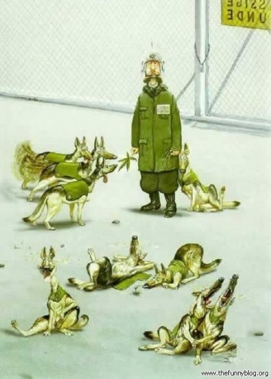 Dibuix gossos marihuana