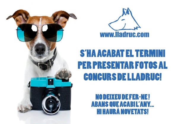  Tanquem termini per presentar les fotos al 5e concurs Lladruc!