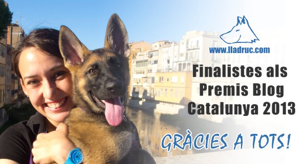 Finalistes als premis blogs 2013! Sembla que la Mina somrigui, oi?