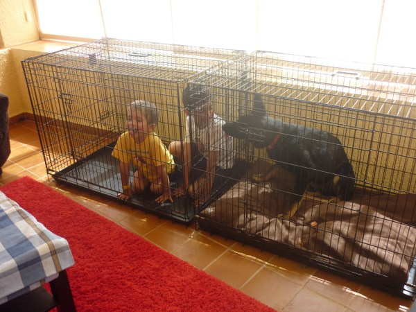 La Muga i els meus nebots jugant a dins una gàbia plegable que, com veieu, és multifunció! :) 