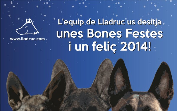 Postal de Nadal Lladruc