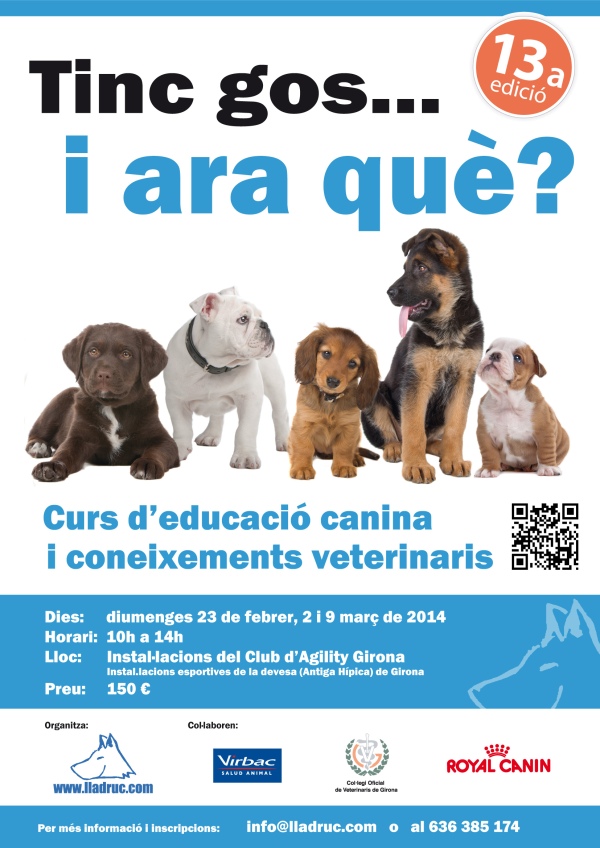 Pòster 13a edició del curs "Tinc un gos... i ara què": curs d'educació canina i coneixements veterinaris