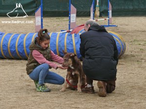 En Truc, adoptat fa poc, aprenent a agafar confiança en les persones gràcies a la Carla i als altres alumnes del curs!
