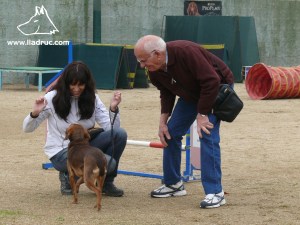 En Carles, que té més de vuitanta anys, ben atent, al comportament d'en Tro.
