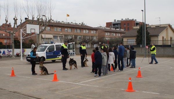 Els alumnes escoltant les explicacions, han fet un munt de preguntes!