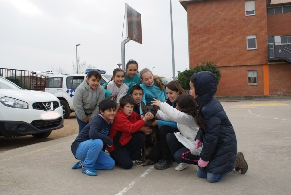 Hola! Em dic Mina i com més nens em toquen més feliç estic, sobretot si porten frankfurt! :)