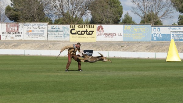 En Sumo del Salto Roldan volant mentre mossega al figurant