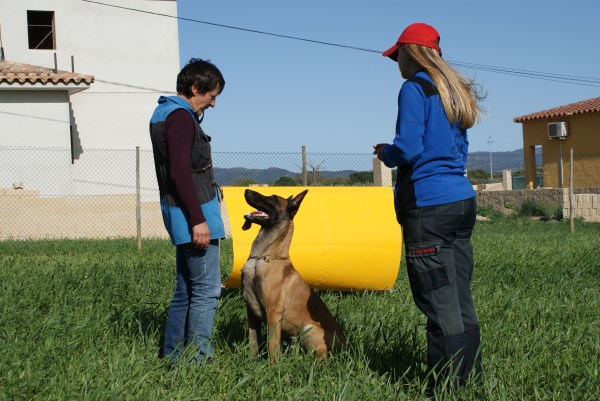 I el "Maxi-Mali" de la Isabel esperant indicacions :)