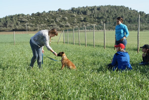 La "Mini-Mali" de la Roser practicant l'ordre d'asseure's :)