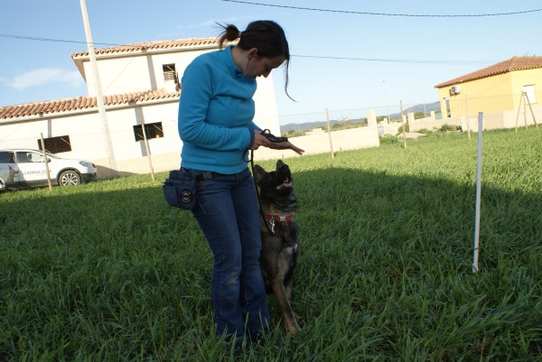 I la Pastor Alemany de treball més guapa de l'univers va fer un paper força digne pel mal entrenament que portàvem! 