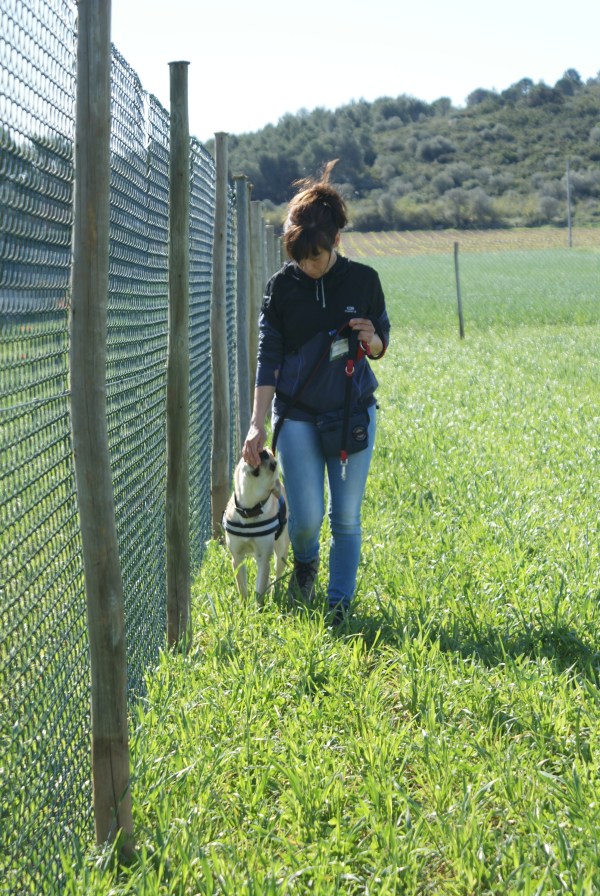 La Mel va fer un costat propi de gossa "IPOnera"... 