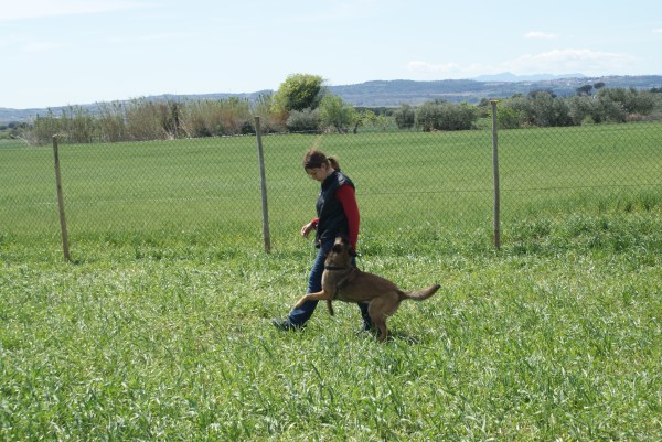La Cendra fent salts d'alegria 