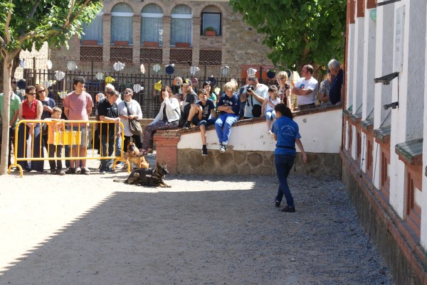 ... I fent un "quiet" que va deixar a tothom bocabadat. A la foto no es veu però hi havia un gat a dalt de l'arbre i un gos a un metre de la Mina! :)
