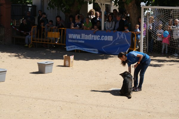 La Mònica premiant a la Mina després d'asseure's...