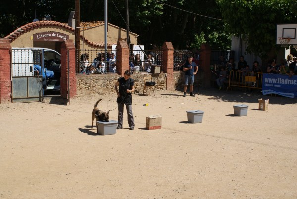 La Cendra iniciant la marcació activa de la substància