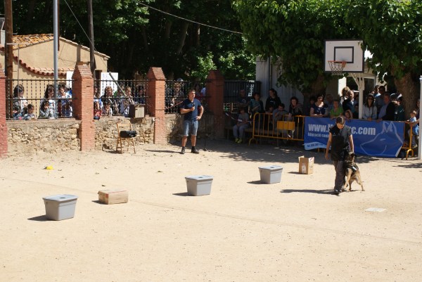 La Cendra fent el costat sense perdre'm de vista... 