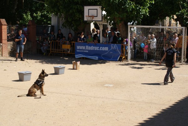 ...fent un quiet al mig de la pista... 