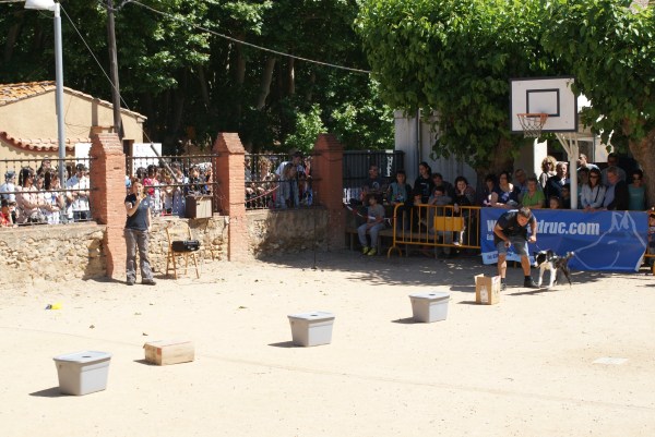 La Syra començant la recerca! 