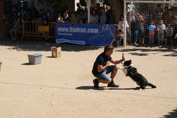La Syra xocant la pota!