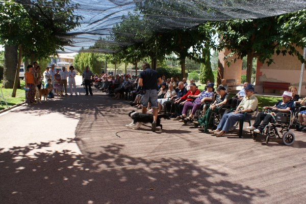 La Syra passant enmig de les cames davant dels avis i part del personal de la residència Toribi Duran