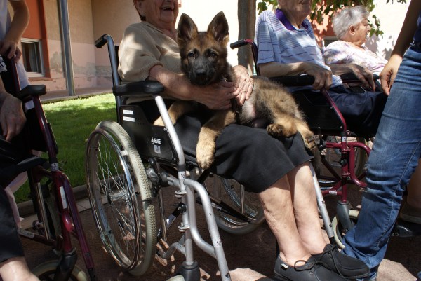 ... Tant, que va saltar de falda en falda i s'hi va posar així de bé! 