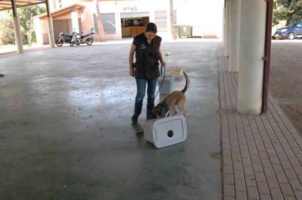 La Cendra en plena marcació activa de la substància