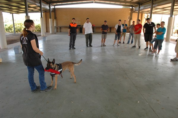 I resolent dubtes ben feliç amb el mossegador a la boca... 