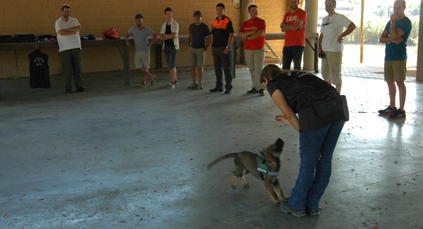 La Fura, amb només tres mesets, fent una cridada immediata :)