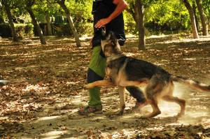En Juan Carlos Moreda fent el fuss amb en Capo del Valle de Alacalans (del mateix afix d'on prové la Burka)