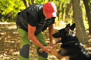 En Juan Carlos Moreda amb en Neo de Togaricha (el mateix criador d'on prové la Fura). 
