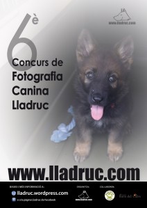 Concurs de fotografia canina Lladruc