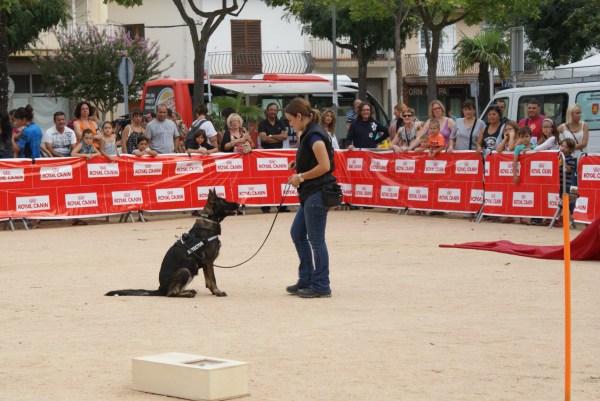 La Mina ben asseguda esperant més instruccions