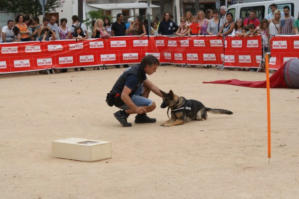 La Burka fent un terra perfecte... 