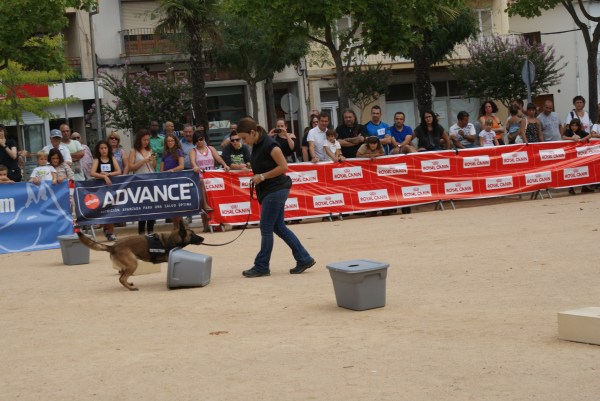 La Cendra en plena marcació activa de la substància