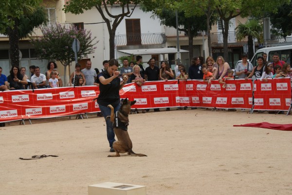 ... i acomiadant-se del públic!